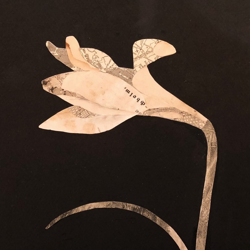 mimi-IMG_2116-sq mimi-IMG_2116-sq